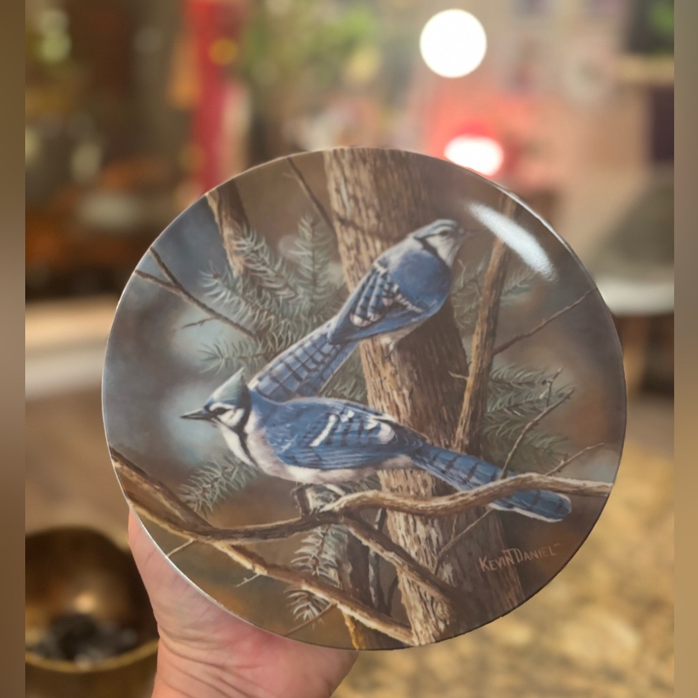 VINTAGE In "The Birds Of Your Garden" Collector Plate Kevin Daniel Blue Jays Art